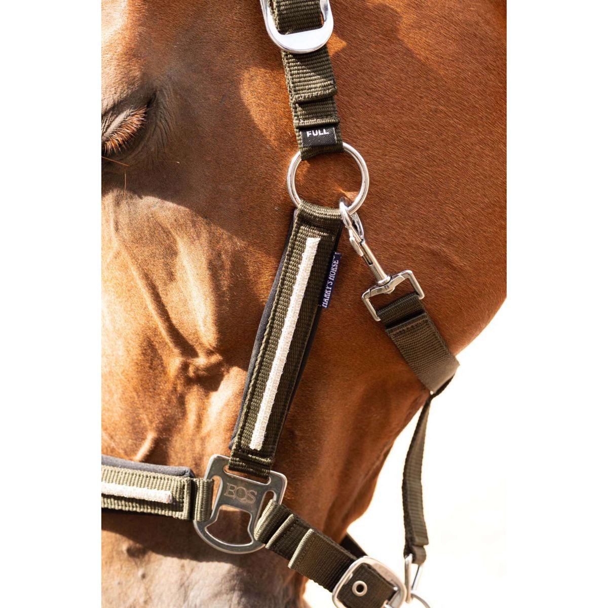 Harry's Horse Set Cavezza Valli Rosin