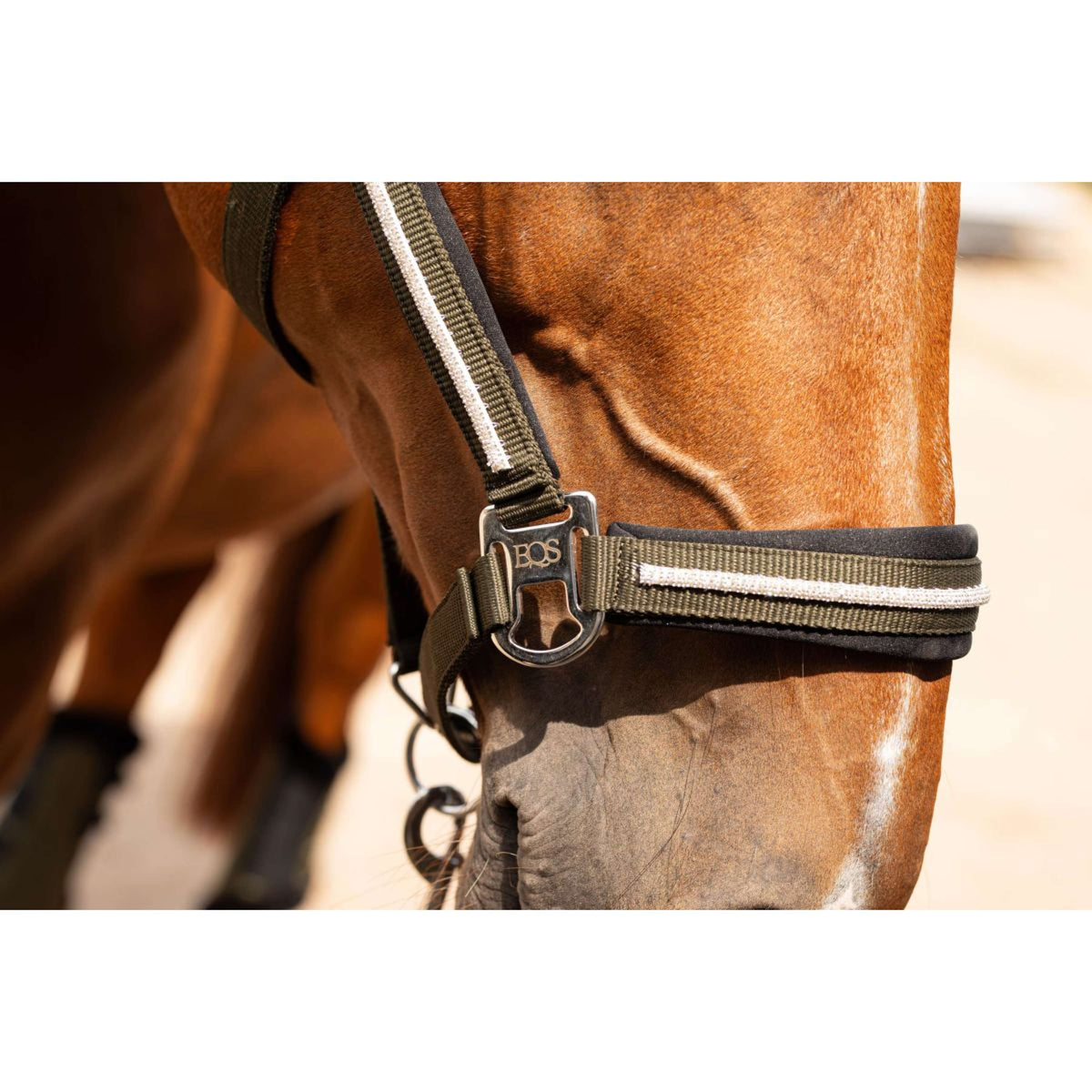 Harry's Horse Set Cavezza Valli Rosin