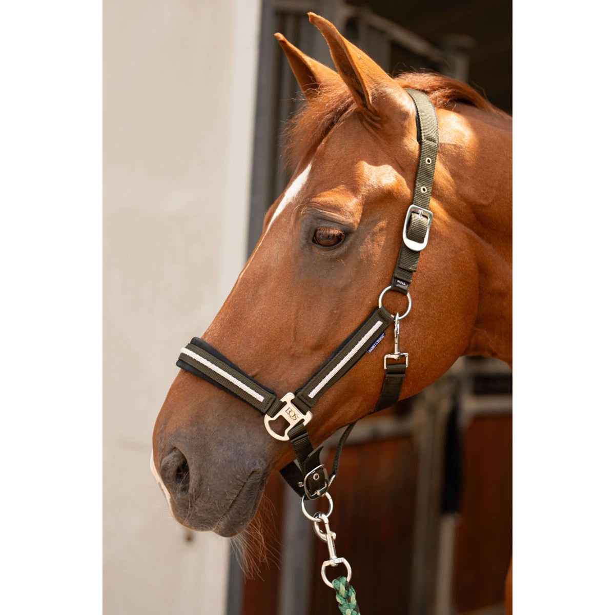 Harry's Horse Set Cavezza Valli Rosin