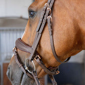 Harry's Horse Briglia Bombastic Crystals Marrone