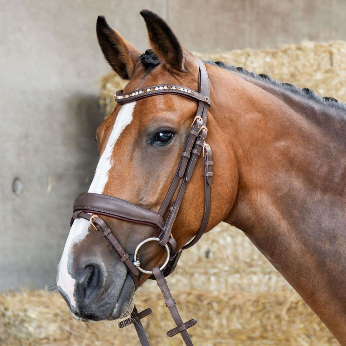 Harry's Horse Briglia Bombastic Crystals Marrone