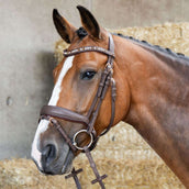 Harry's Horse Briglia Bombastic Crystals Marrone