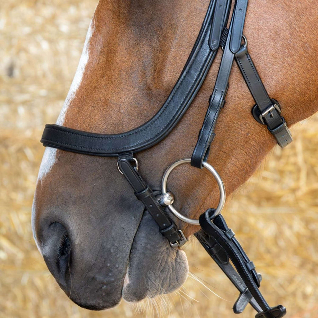 Harry's Horse Briglia Anatomic Black Crystal Nero