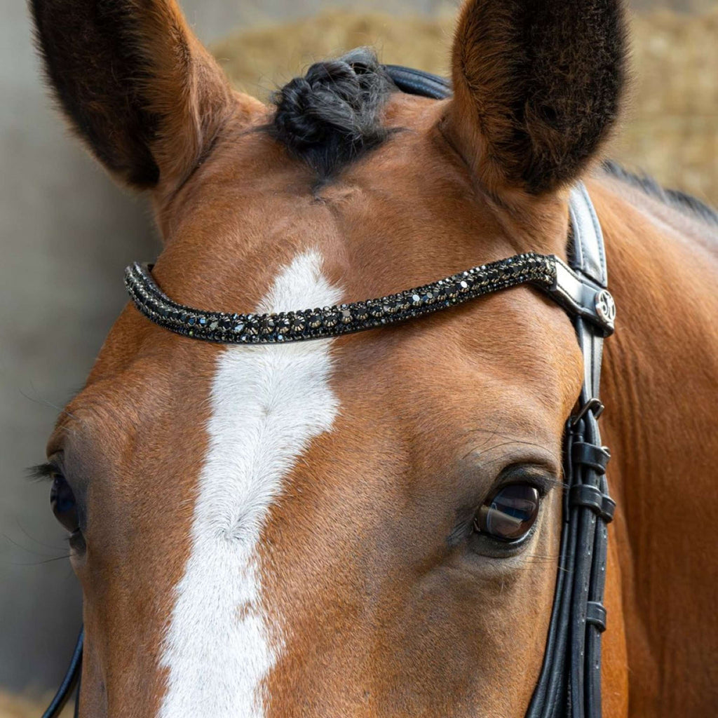 Harry's Horse Briglia Anatomic Black Crystal Nero