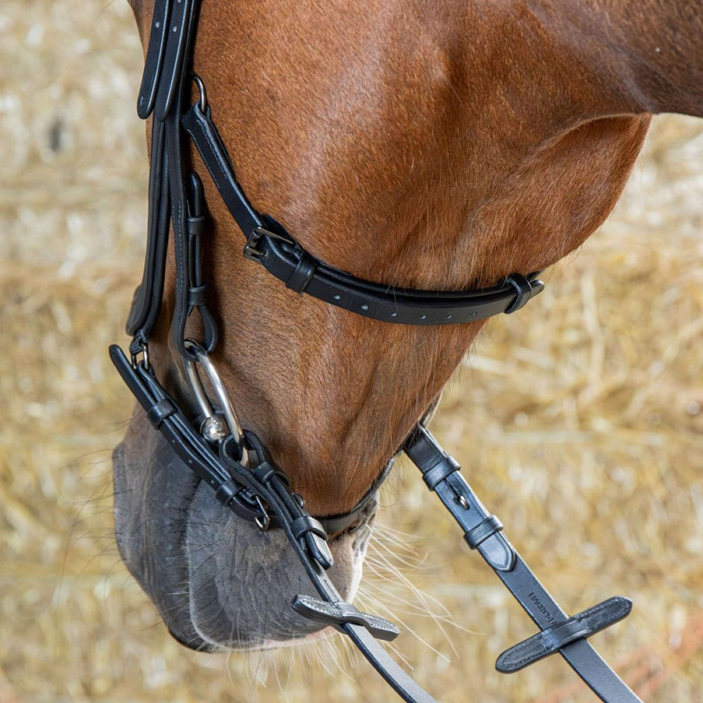 Harry's Horse Briglia Anatomic Black Crystal Nero