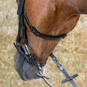 Harry's Horse Briglia Anatomic Black Crystal Nero