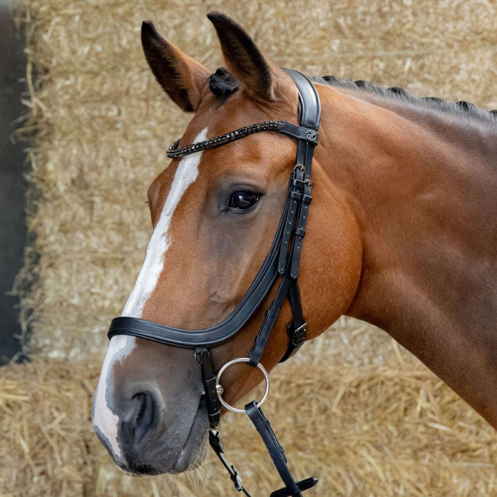 Harry's Horse Briglia Anatomic Black Crystal Nero