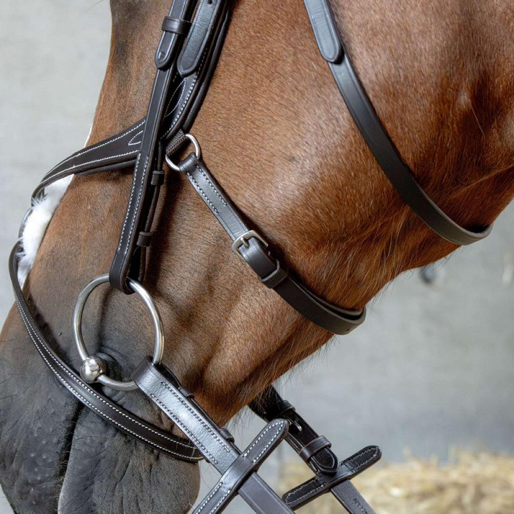 Harry's Horse Briglia Messicana Anatomic Marrone