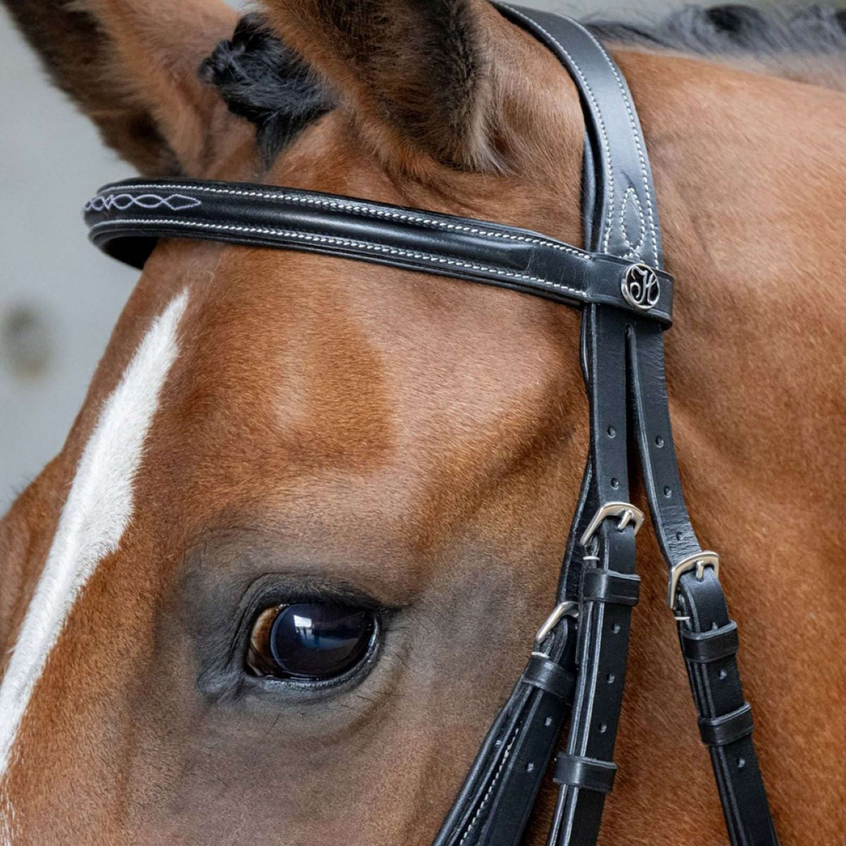Harry's Horse Briglia Messicana Anatomic Nero