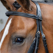 Harry's Horse Briglia Messicana Anatomic Nero