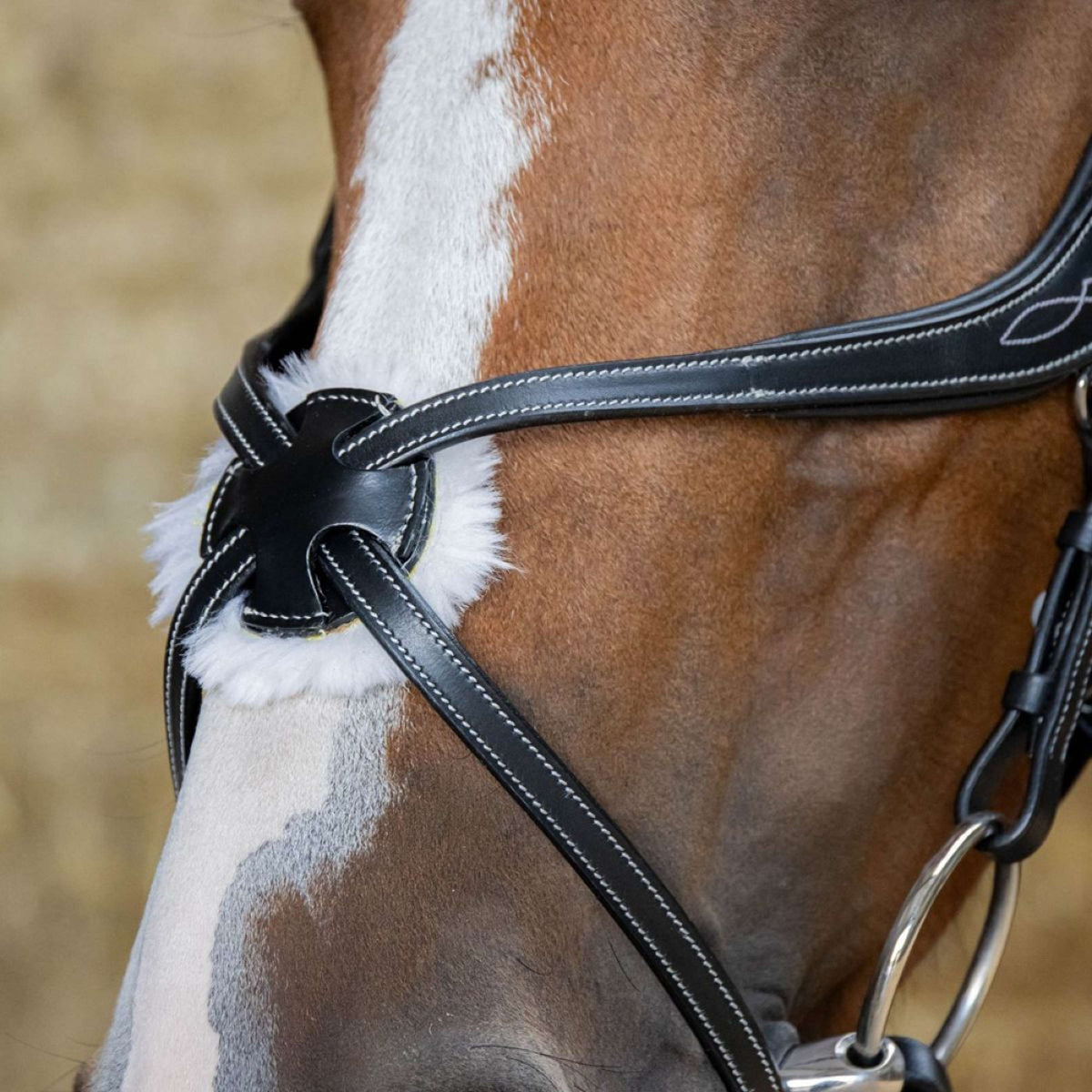 Harry's Horse Briglia Messicana Anatomic Nero