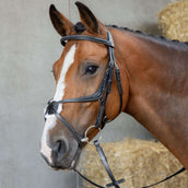 Harry's Horse Briglia Messicana Anatomic Nero