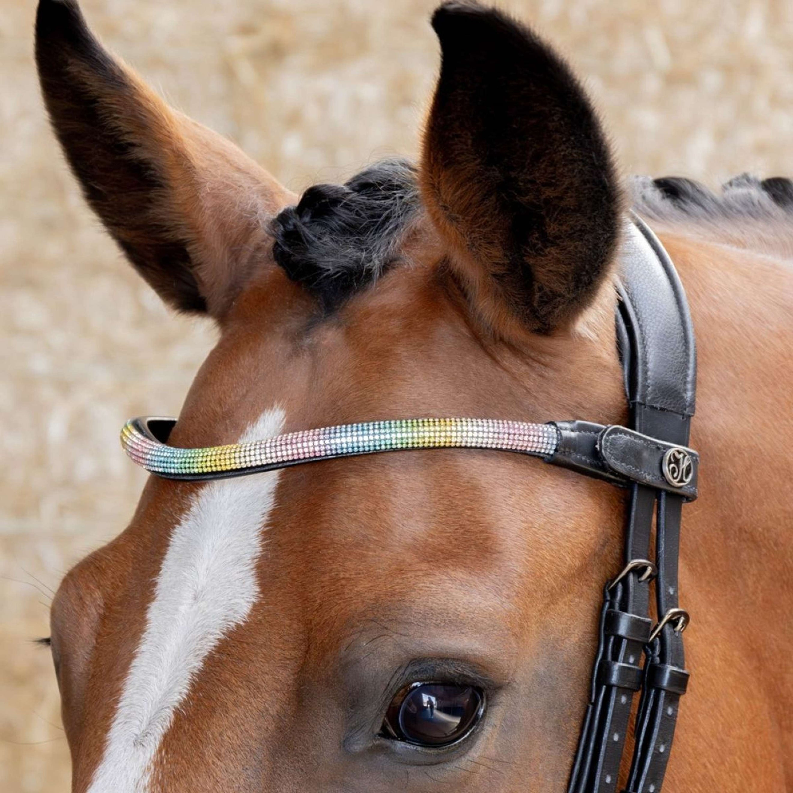 Harry's Horse Frontalino Rainbow Arcobaleno