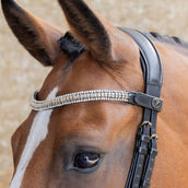 Harry's Horse Frontalino Clincher Argento