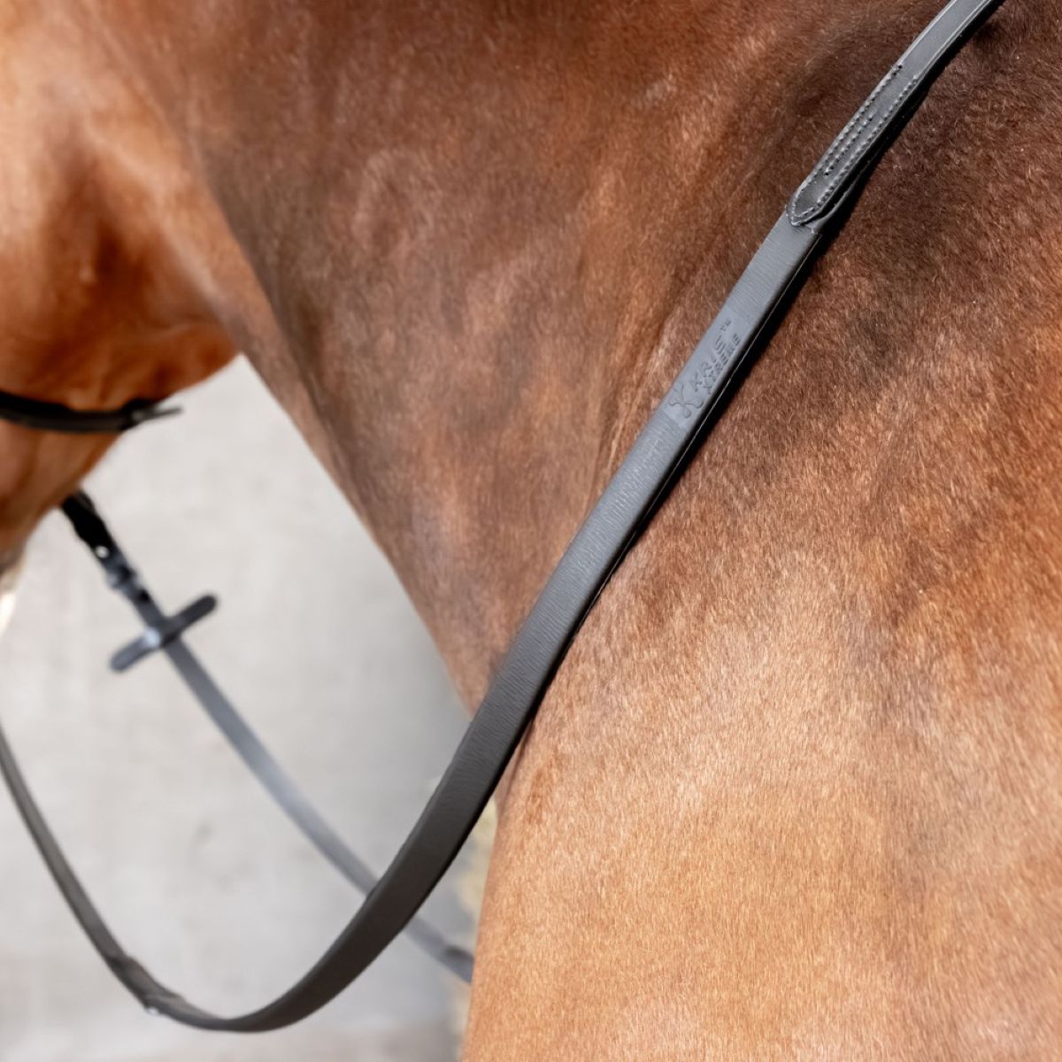 Harry's Horse Redini Kris Xtreme Nero