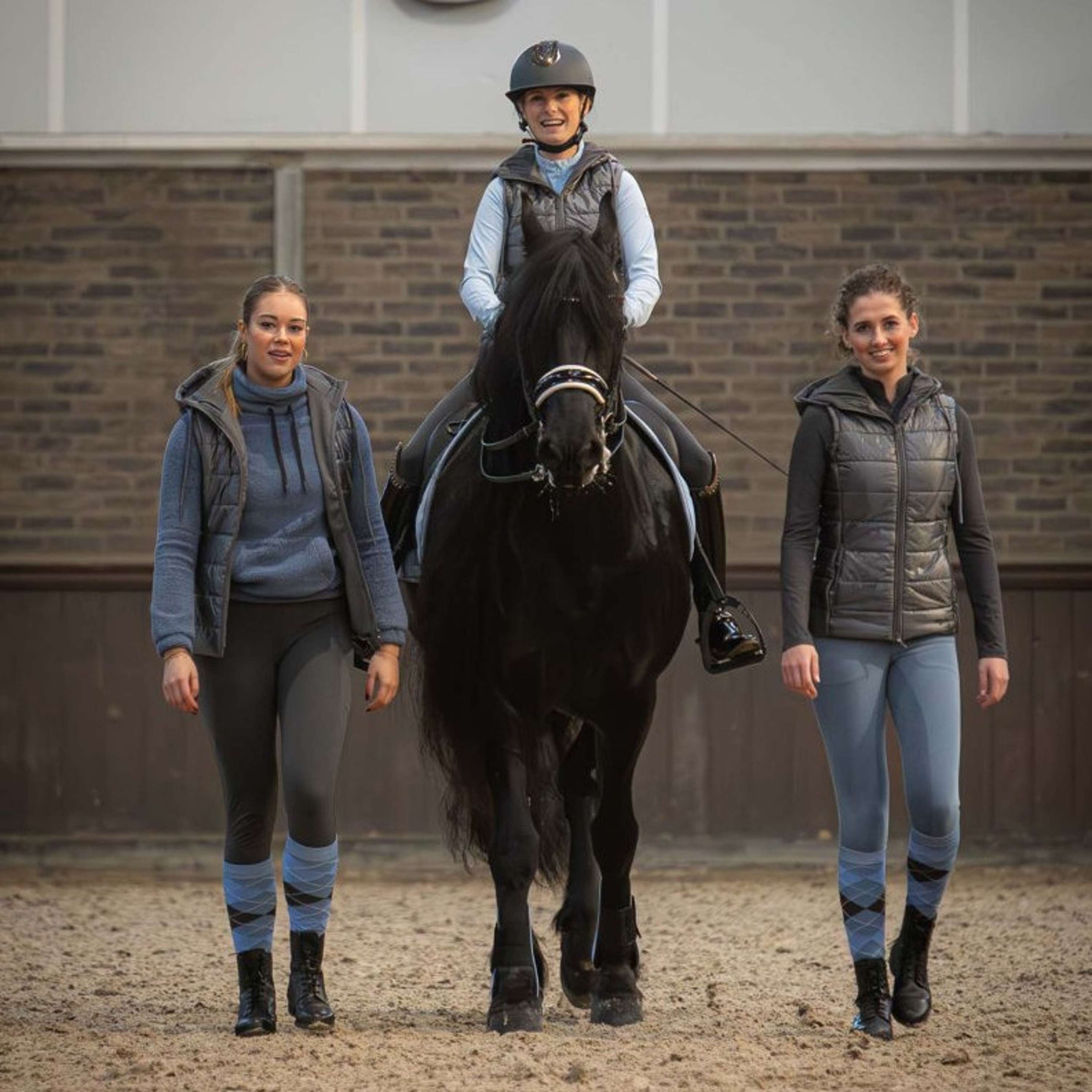 Harry's Horse Maglione Trendy Flint Stone
