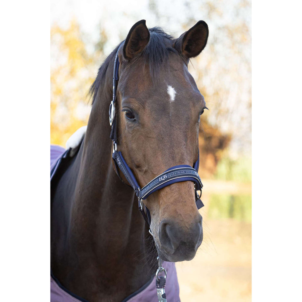 Harry's Horse Set Cavezza EQS Dark Navy