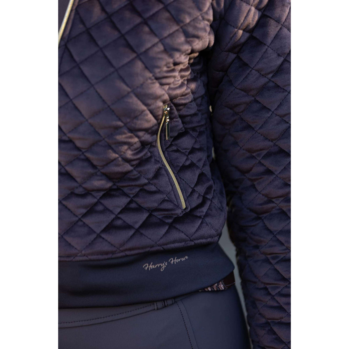 Harry's Horse Giacca Bomber Classy Bracken