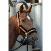 Harry's Horse Set Cavezza Soft Mocha-Bisque