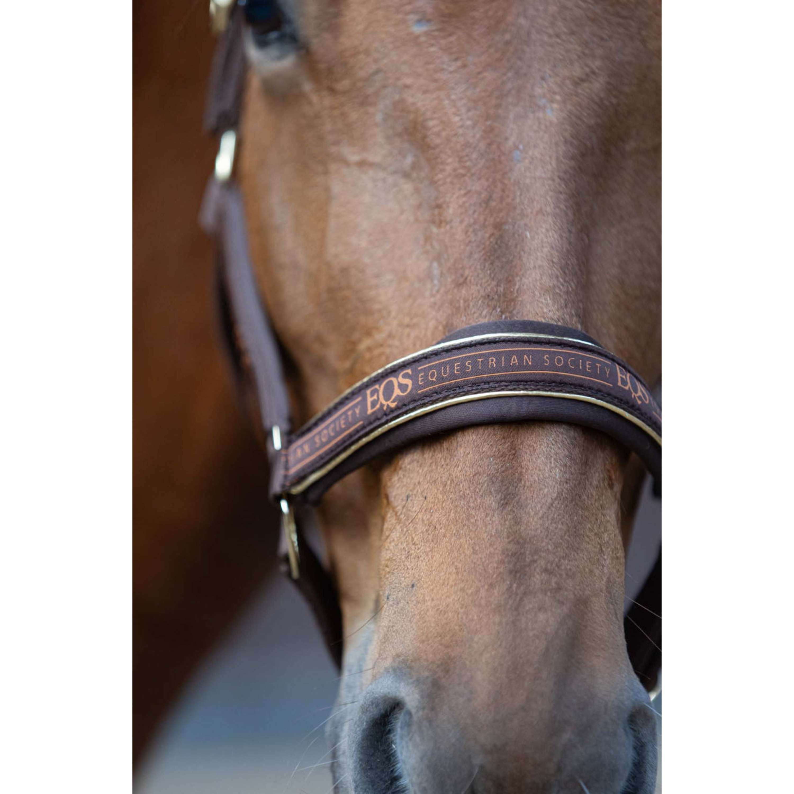 Harry's Horse Set Cavezza EQS Bracken