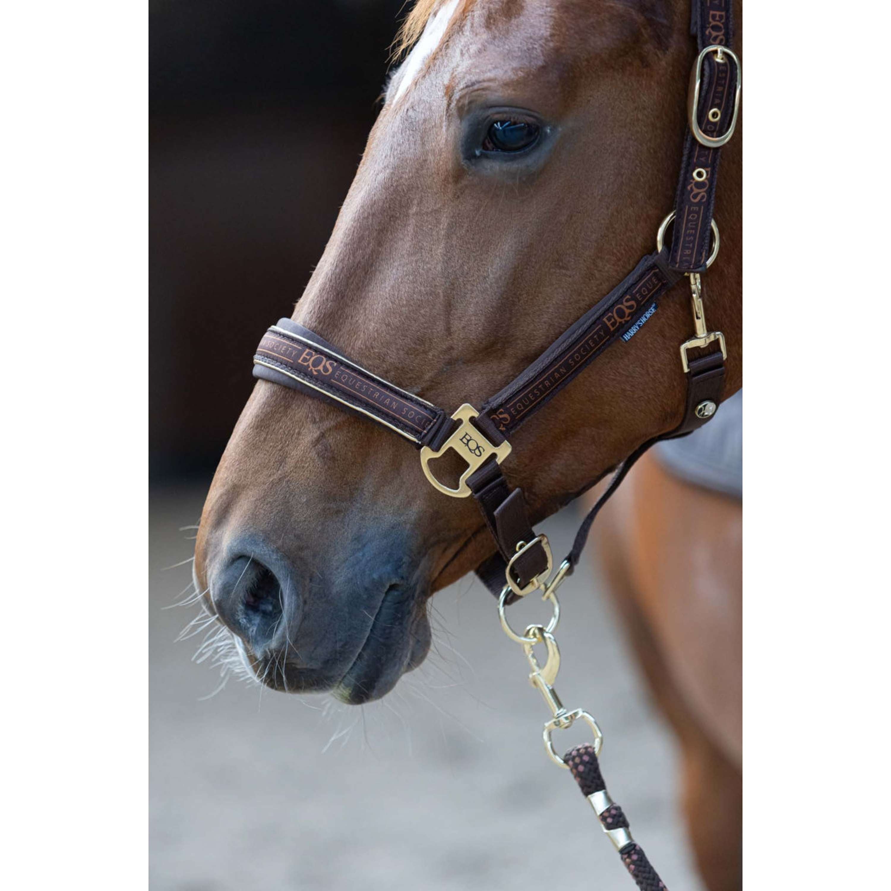 Harry's Horse Set Cavezza EQS Bracken