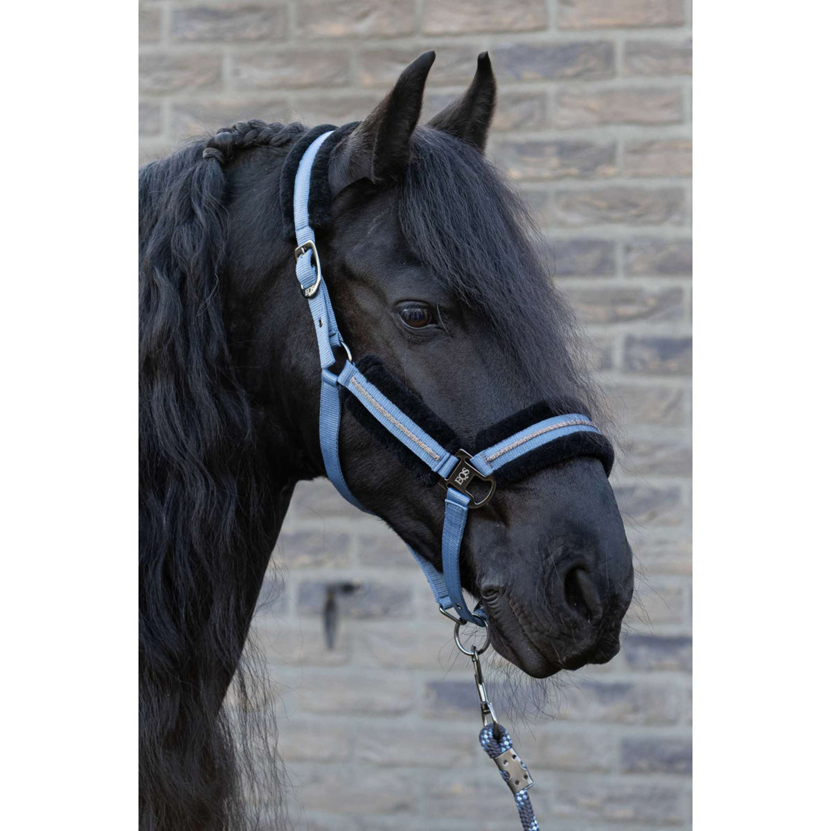 Harry's Horse Set Cavezza Soft Flint Stone