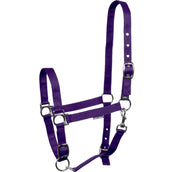 Harry's Horse Cavezza 3x Regolabile Viola