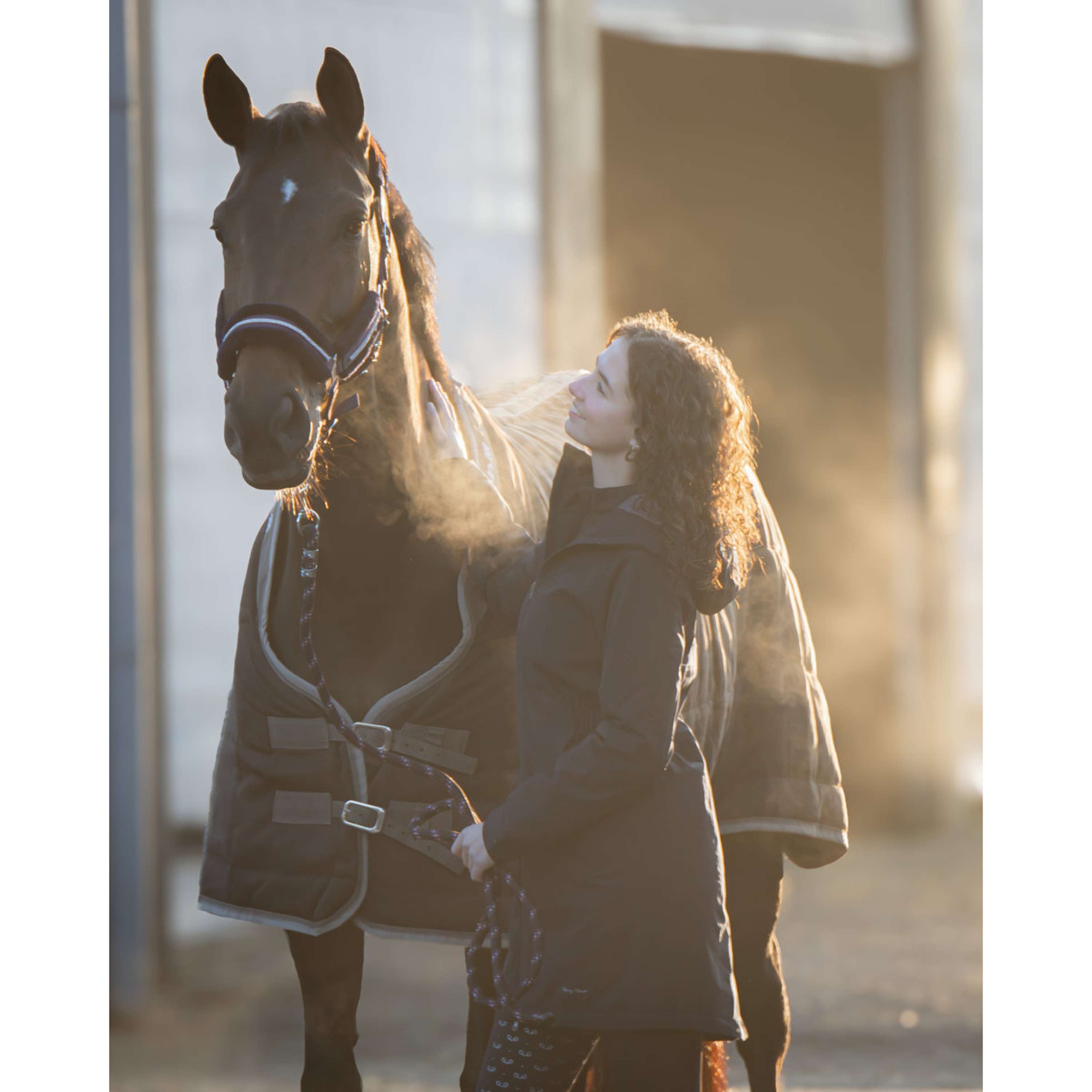 Harry's Horse Coperta da scuderia Highliner AW26 200g Black-Sand