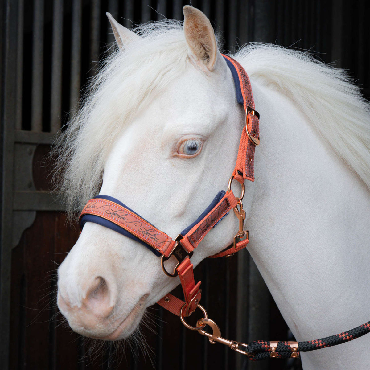 Harry's Horse Set Cavezza LouLou Crabapple