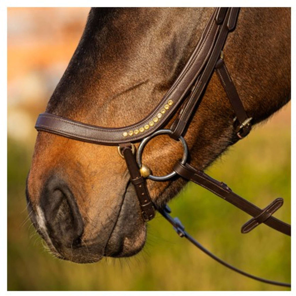 Harry's Horse Briglia Anatomic Gold Marrone