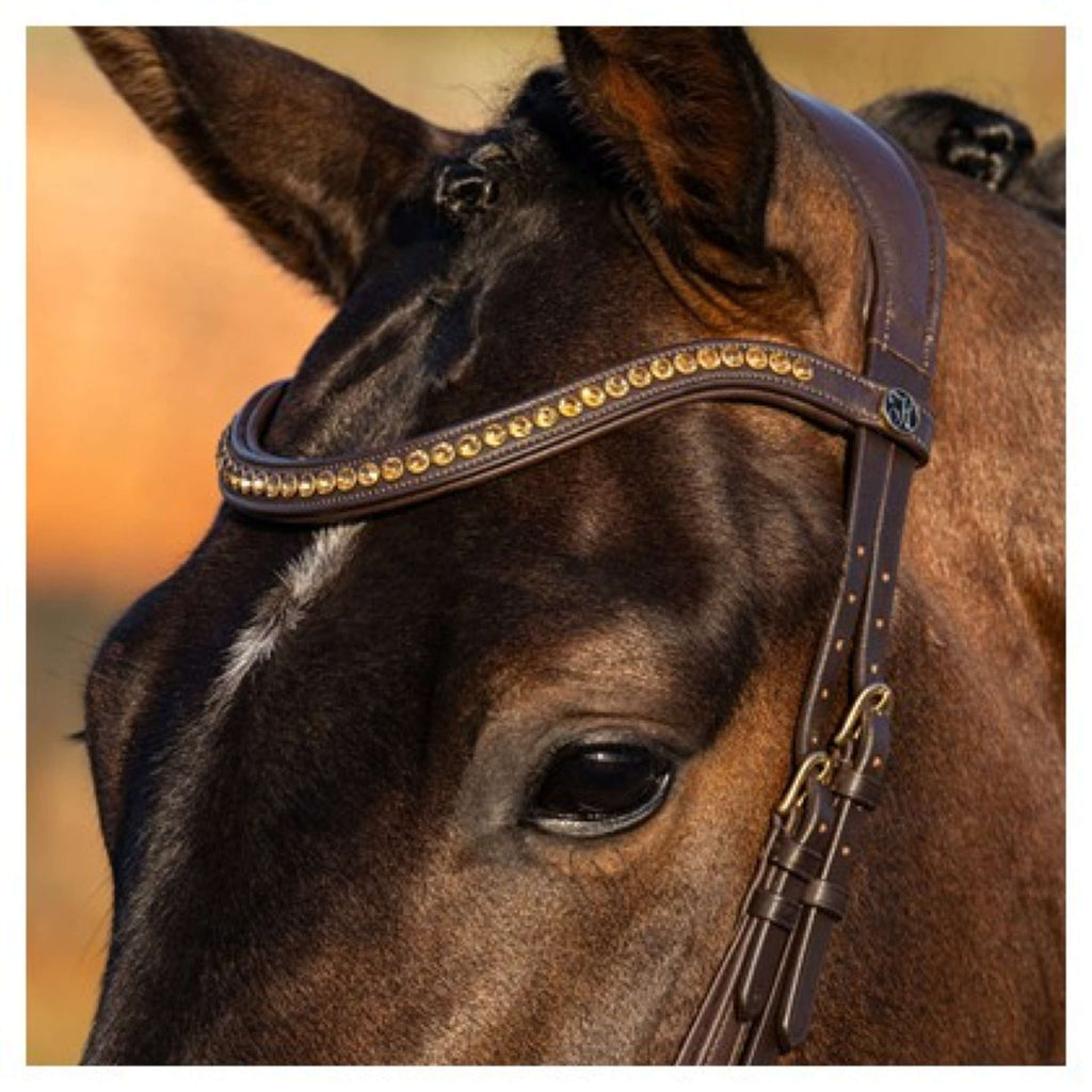 Harry's Horse Briglia Anatomic Gold Marrone