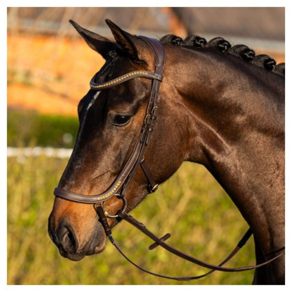 Harry's Horse Briglia Anatomic Gold Marrone