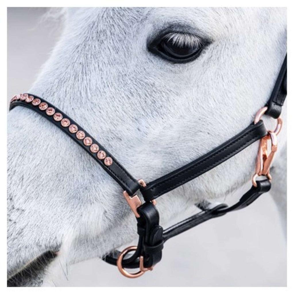 Harry's Horse Cavezza Crystal Nero/Oro rosa