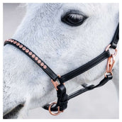 Harry's Horse Cavezza Crystal Nero/Oro rosa