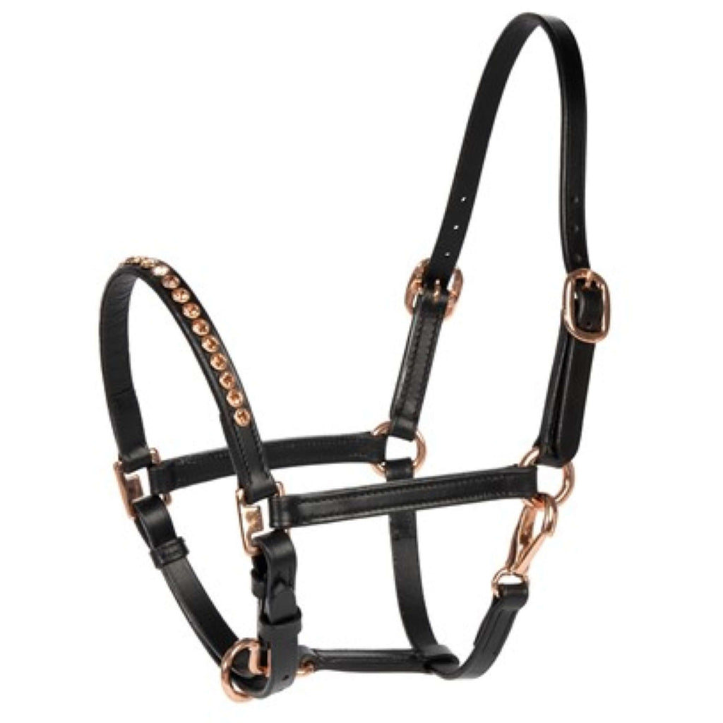 Harry's Horse Cavezza Crystal Nero/Oro rosa