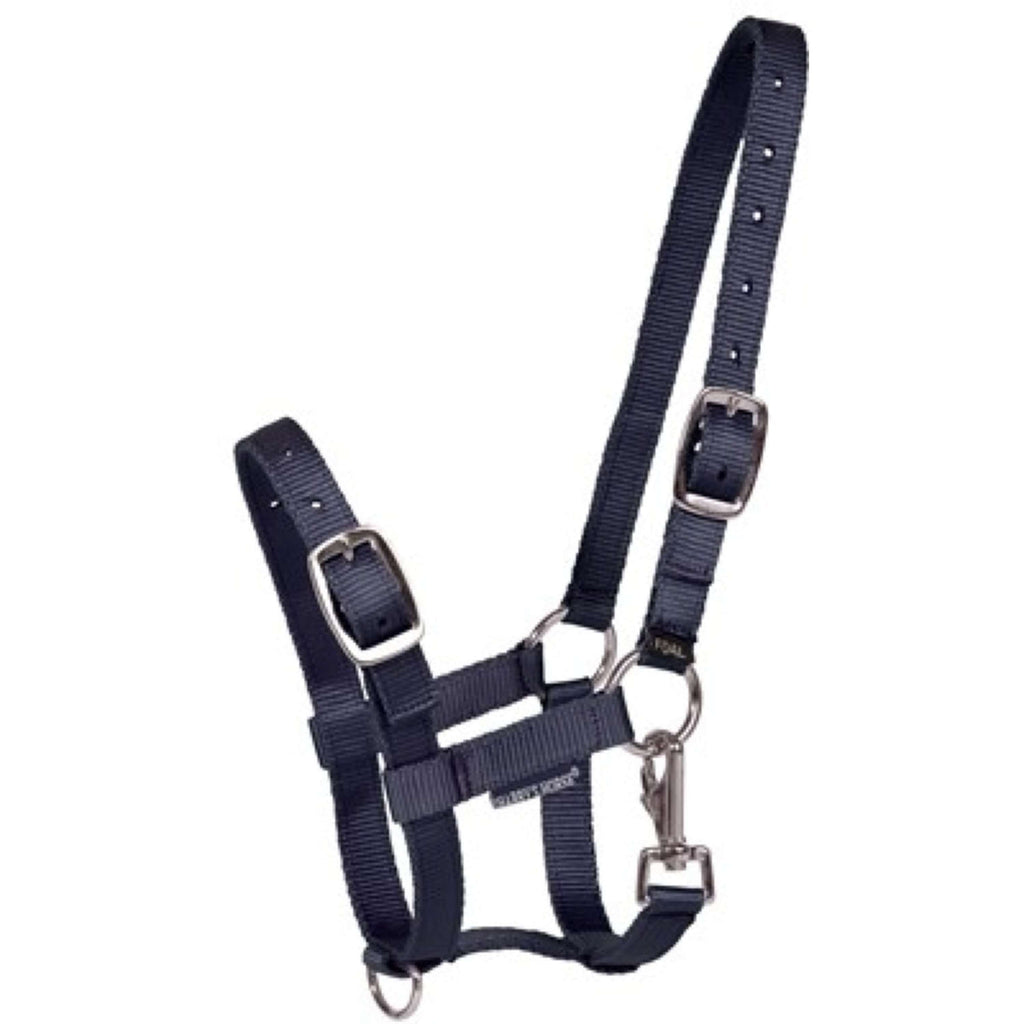 Harry's Horse Cavezza per puledro Navy