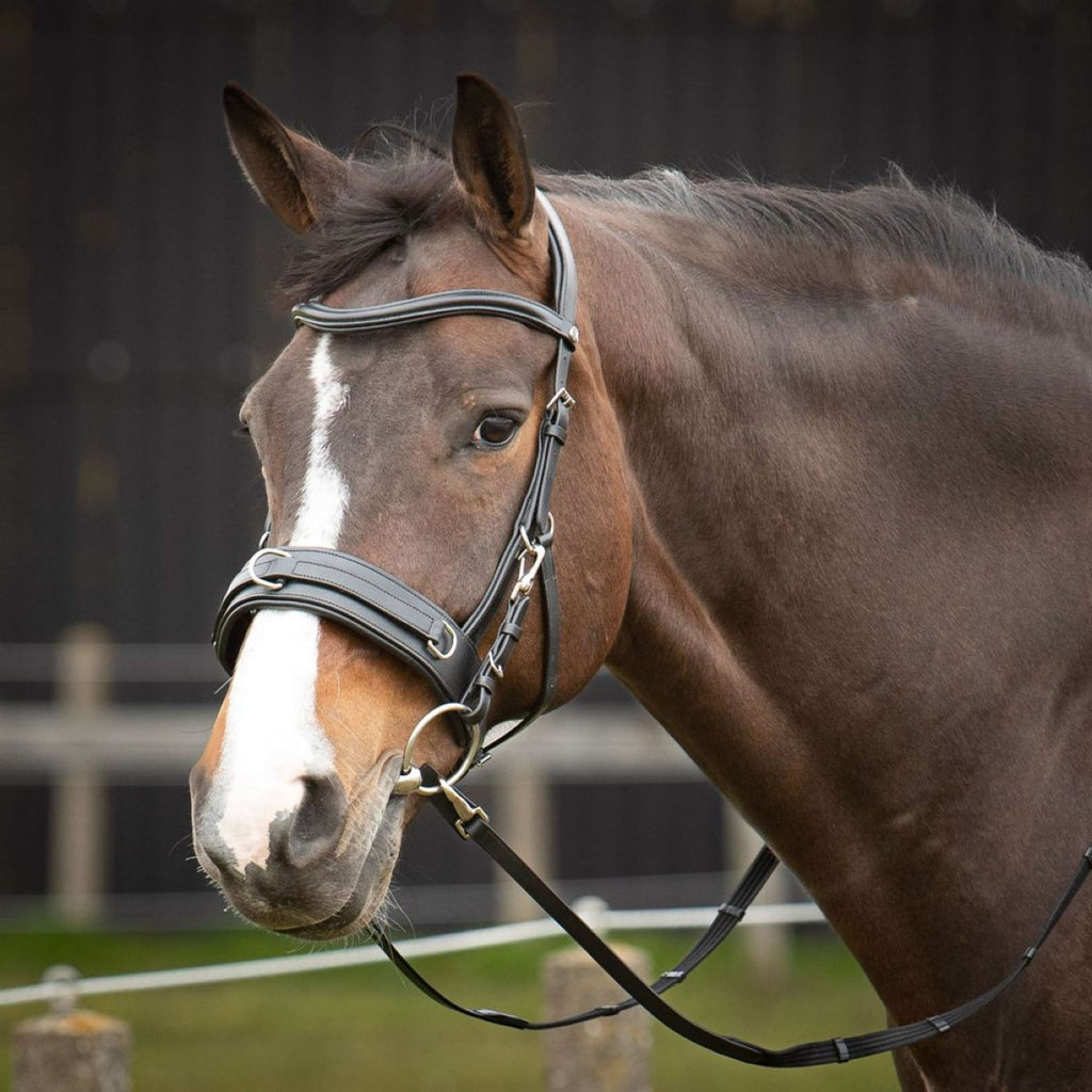 Harry's Horse Capezza Comfort Leder Nero