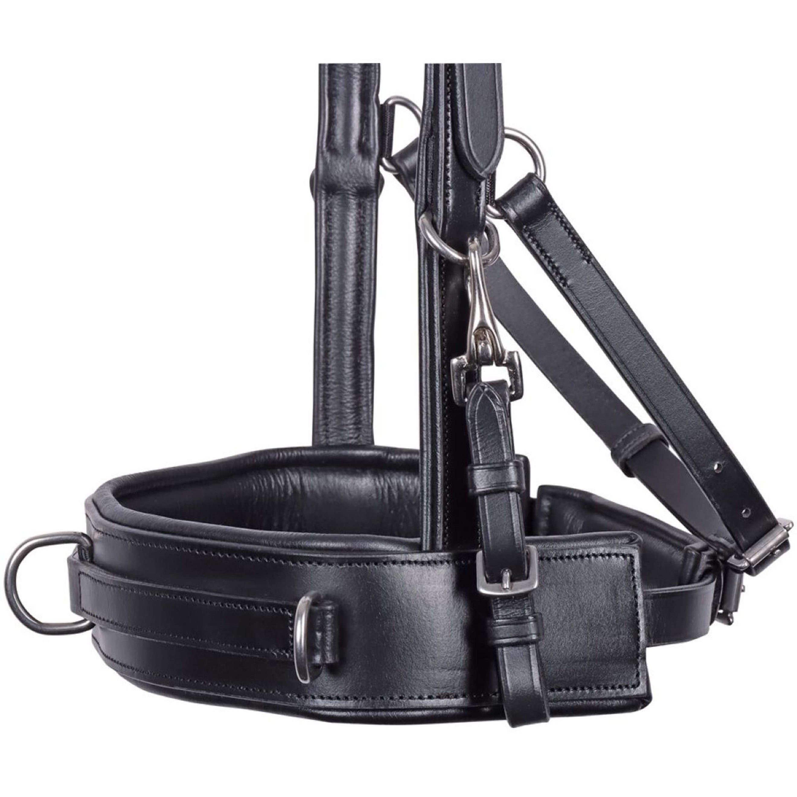 Harry's Horse Capezza Comfort Leder Nero Harry's Horse Capezza Comfort Leder Nero