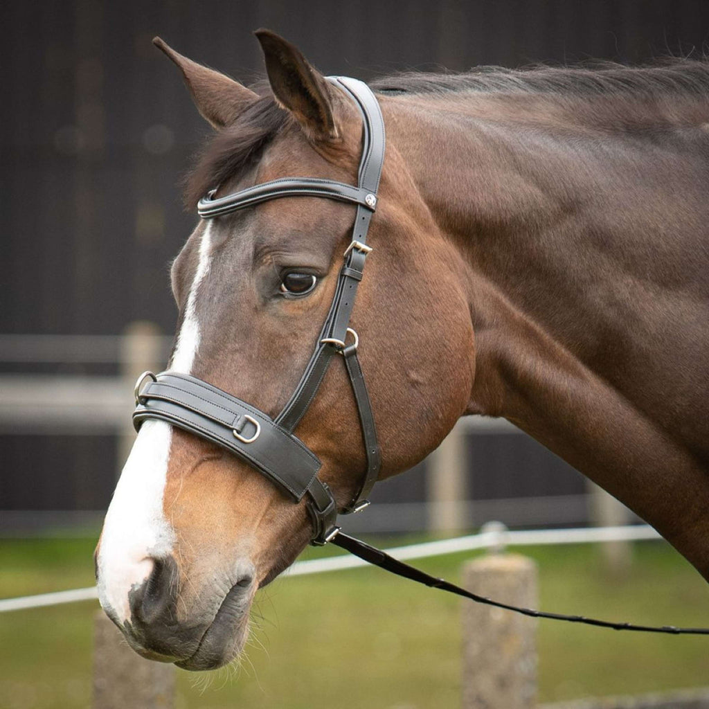 Harry's Horse Capezza Comfort Leder Nero