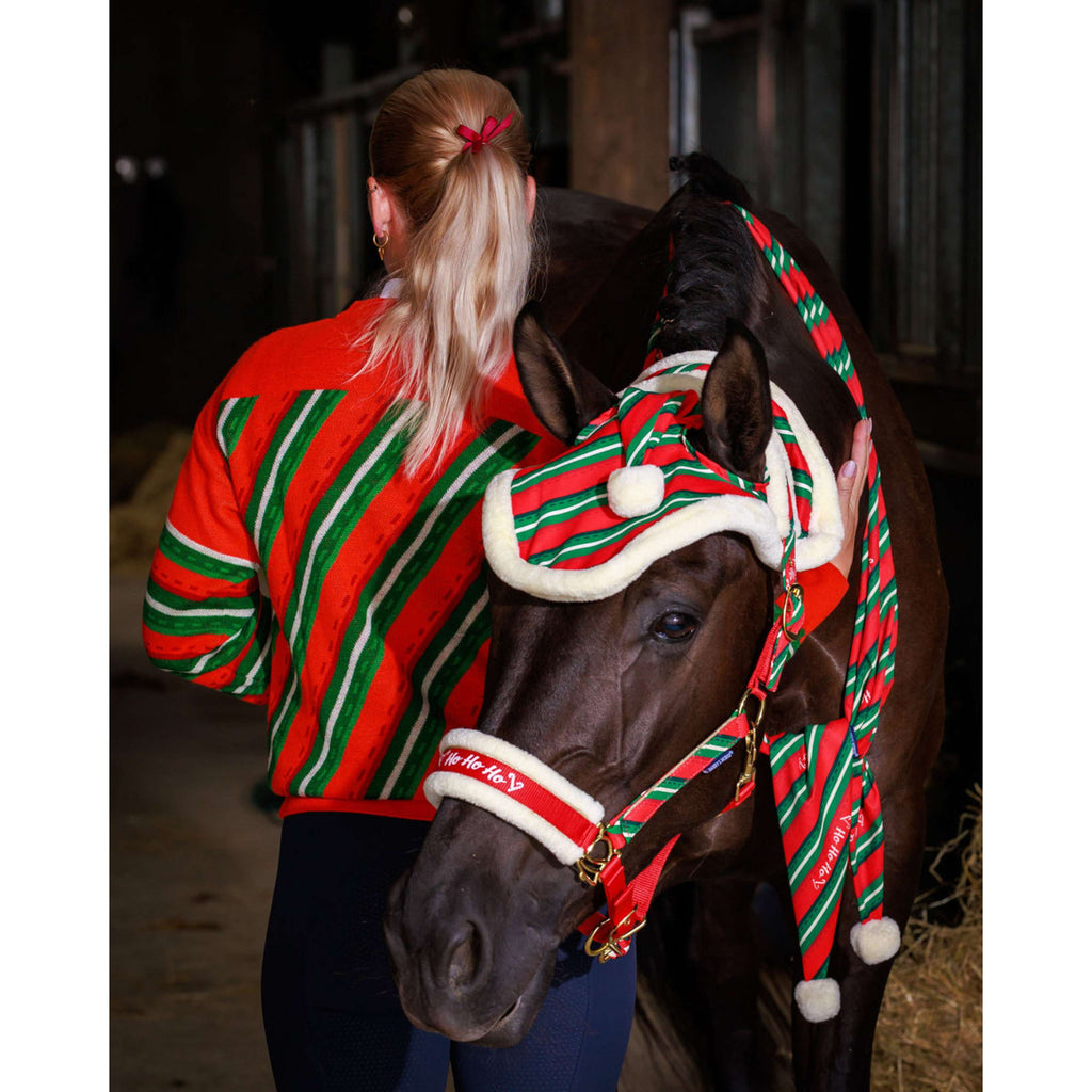Harry's Horse Maglione Christmas '26 Rosso