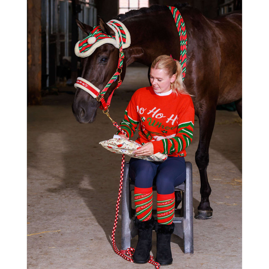 Harry's Horse Maglione Christmas '26 Rosso