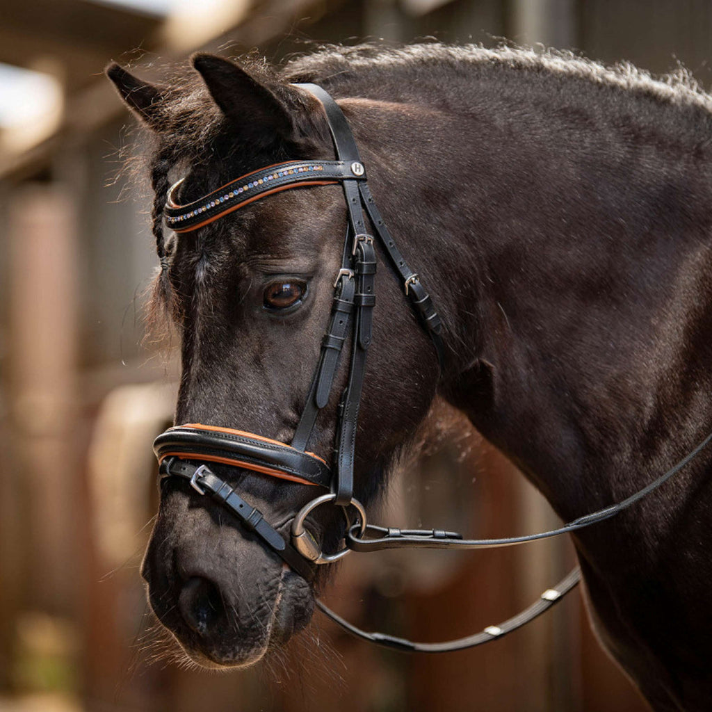 Harry's Horse Briglia STOUT! Maverick Nero