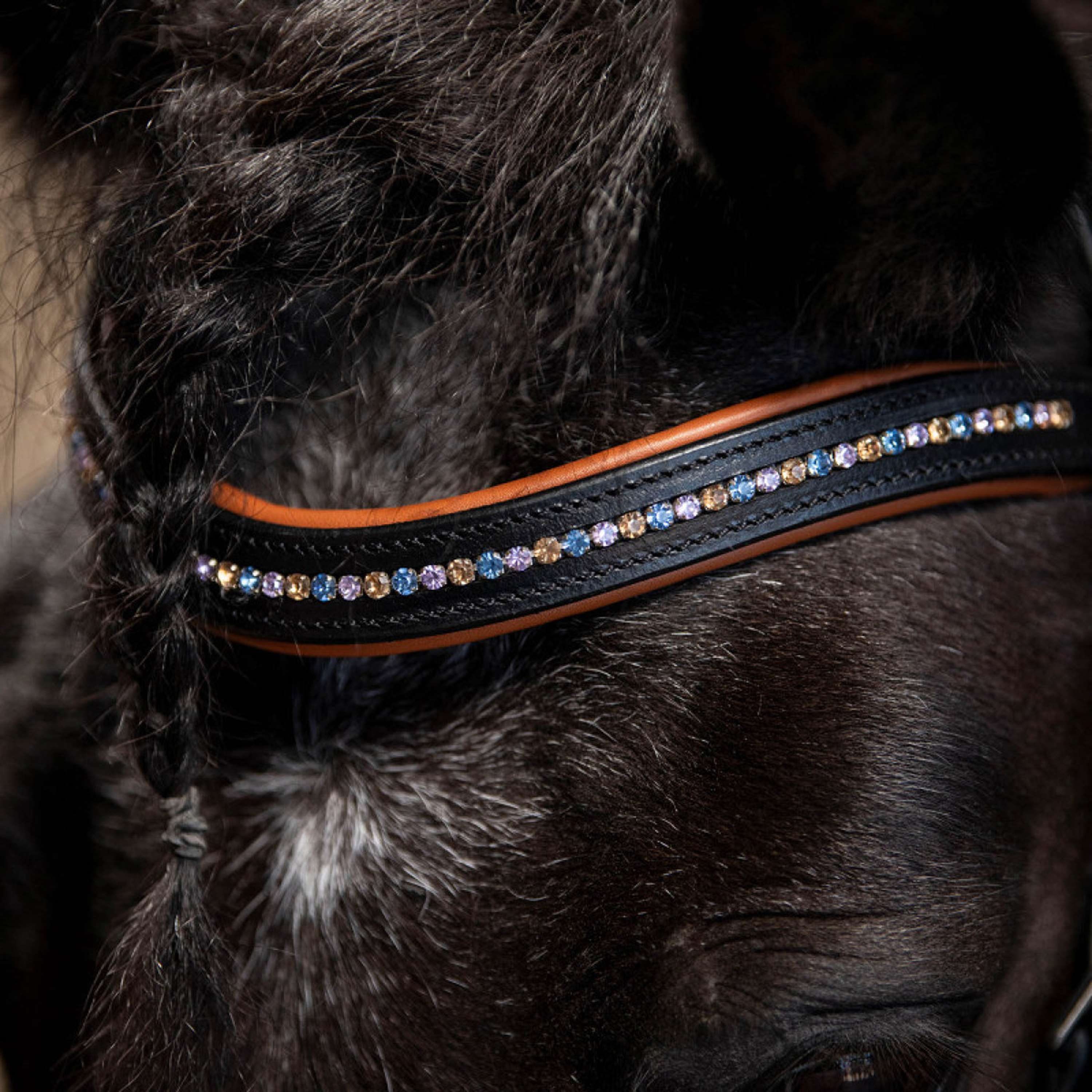 Harry's Horse Briglia STOUT! Maverick Nero