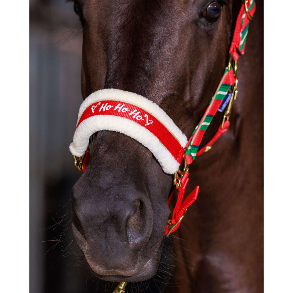 Harry's Horse Set capezza e cuffietta Christmas '26 Rosso