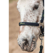 Harry's Horse Set Cavezza STOUT! Lime Navy
