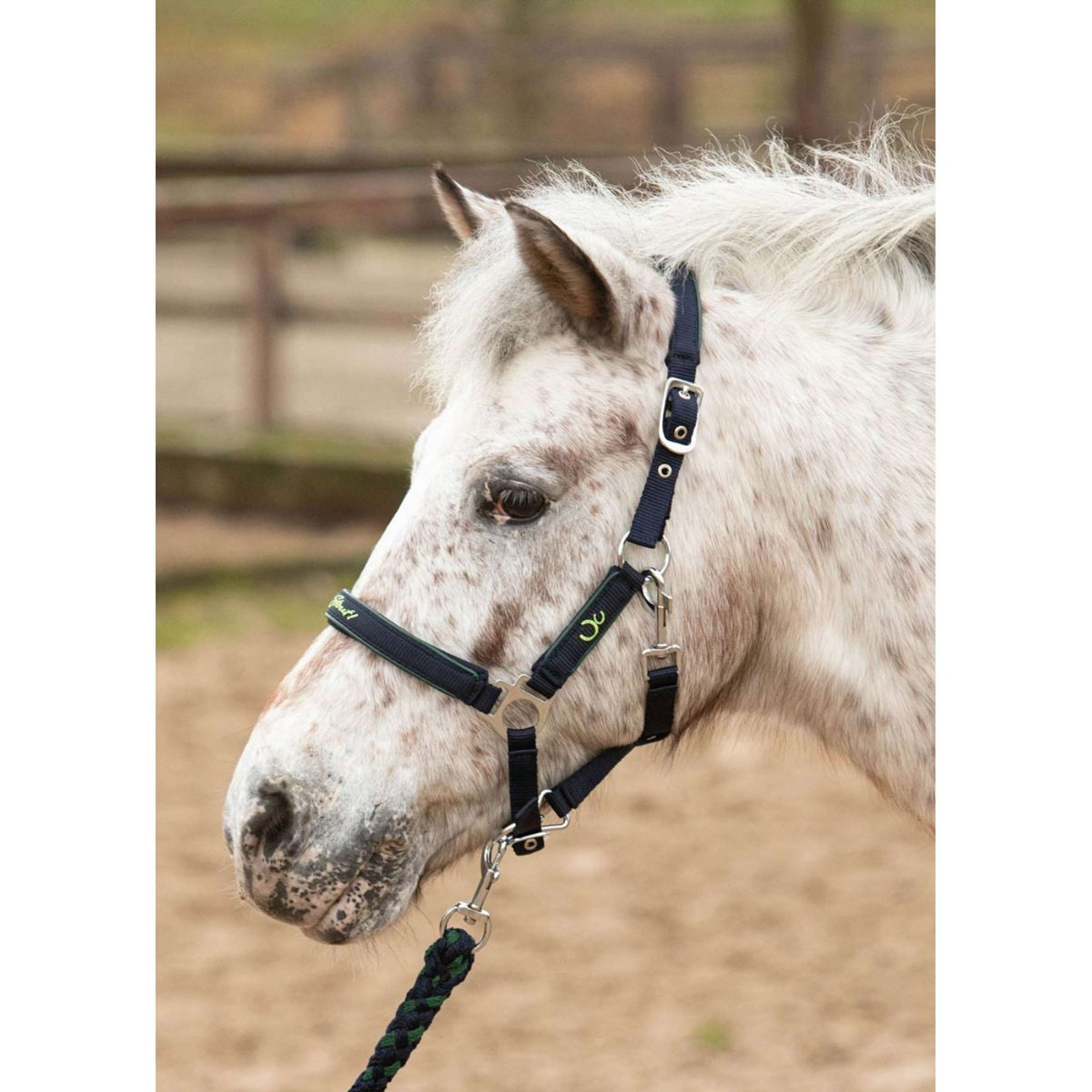 Harry's Horse Set Cavezza STOUT! Lime Navy