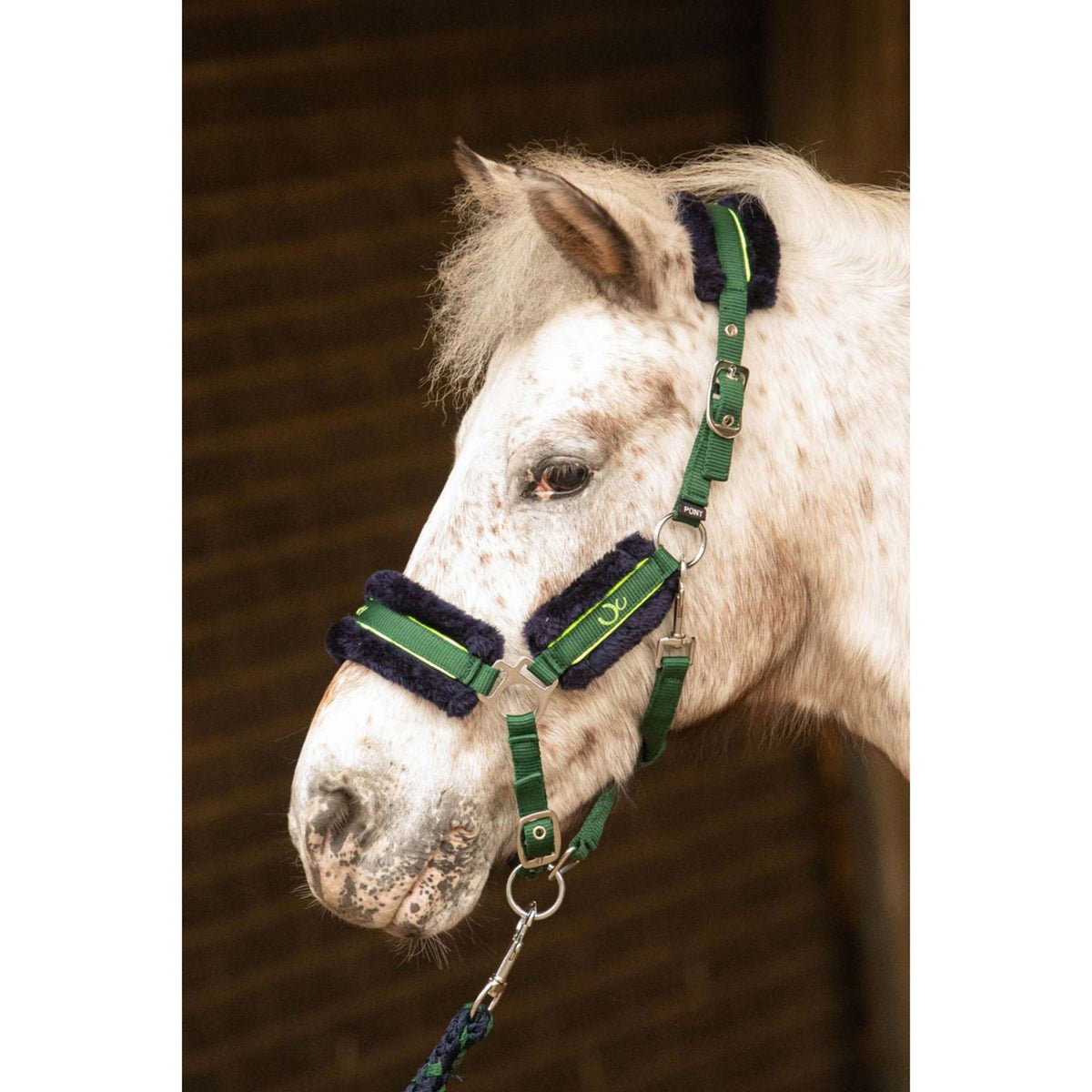 Harry's Horse Set Cavezza STOUT! Soft Lime Verde militare