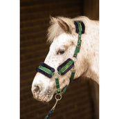 Harry's Horse Set Cavezza STOUT! Soft Lime Verde militare