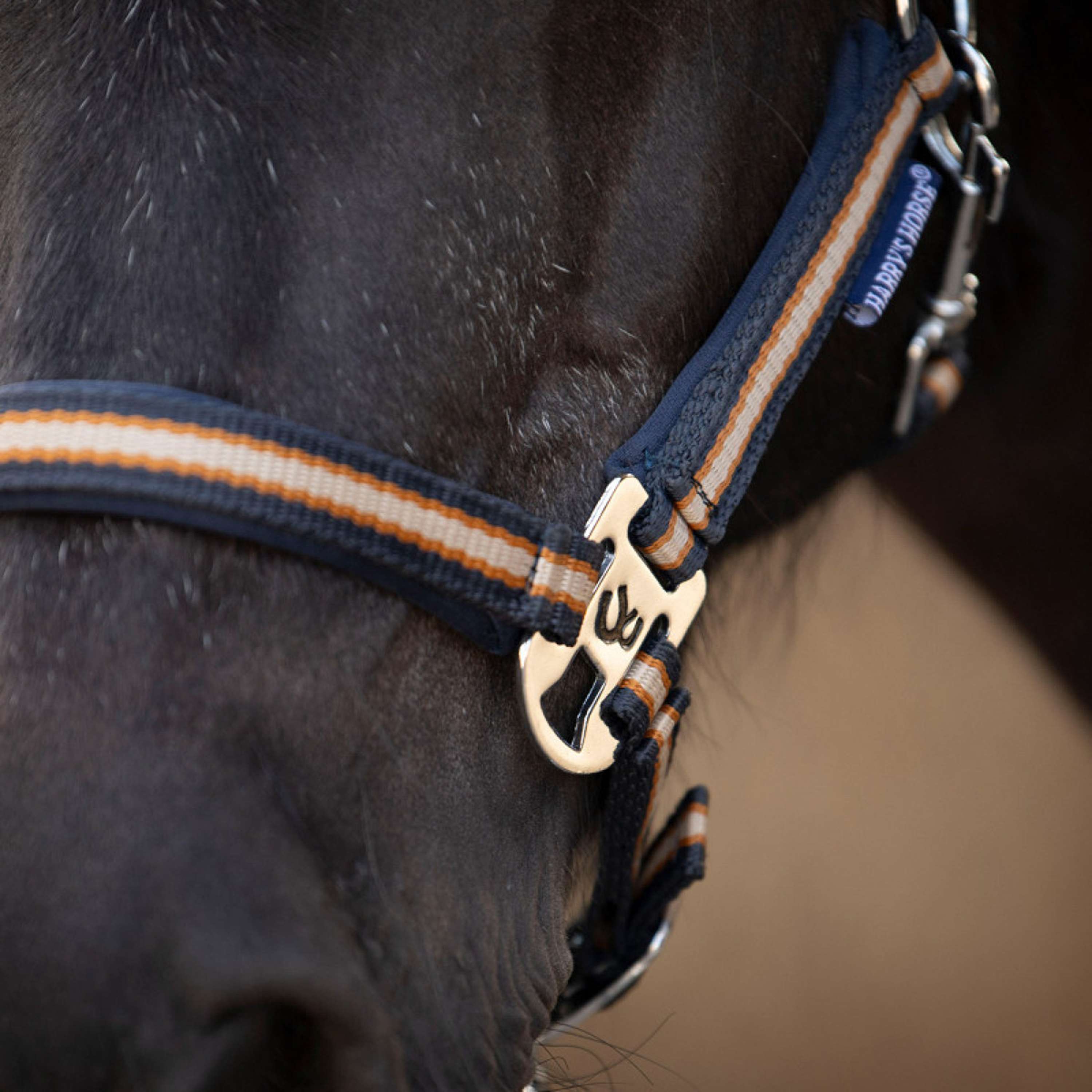 Harry's Horse Set Cavezza STOUT! Maverick Total Eclipse