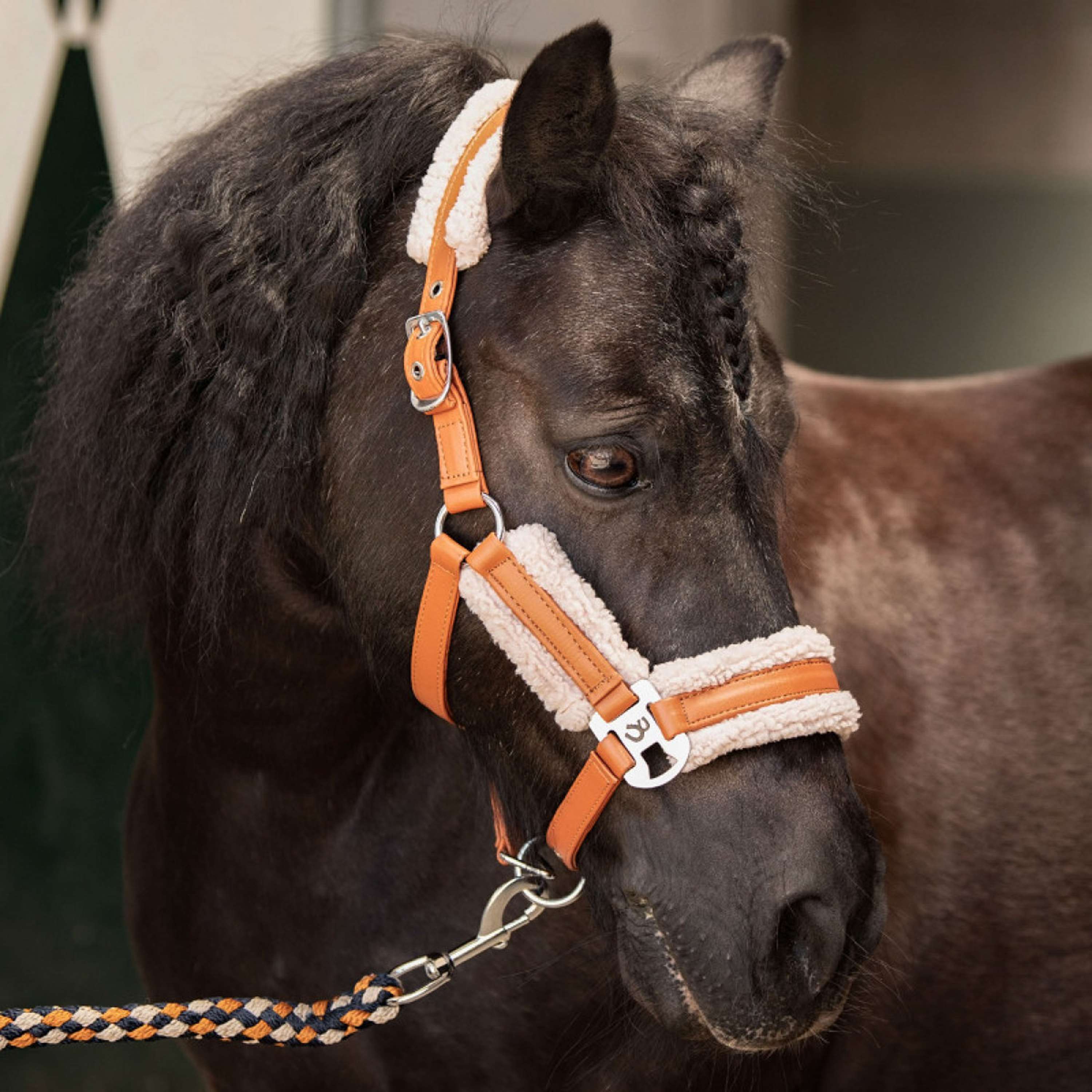 Harry's Horse Set Cavezza STOUT! Maverick Bran